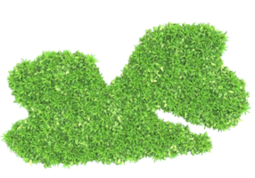 Realistic foliage isolated on transparent background. 3d rendering - illustration png