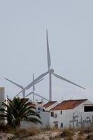 molinos de viento para generación de energía eléctrica no contaminante foto