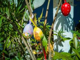 Easter Eggs on the trees. Traditional bulgarian national decoration for Easter. photo