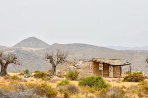vista del paisaje del desierto foto