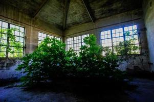 View of abandoned site photo