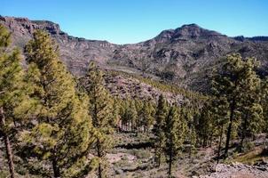 Rocky landscape in summer photo