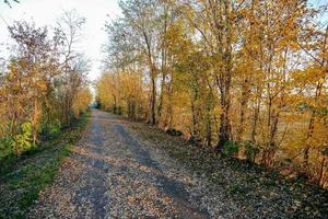 Scenic road view photo