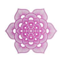 Gradient color mandala on white isolated background, Mandala with floral patterns. Ornaments vector