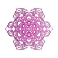 mandala de color degradado sobre fondo blanco aislado, mandala con motivos florales. adornos vector