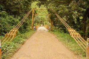 Suspension bridge in the forest photo