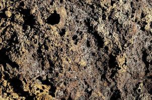 Sea rocks close-up photo