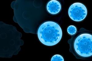 3d multi use Bacteria in bubbles background photo