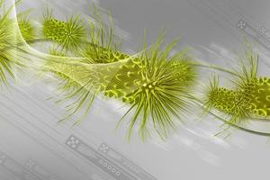 3d multi use  medical virus in grey background photo