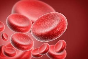 Blood cell in color background photo