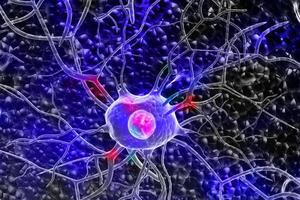 3d Nerve cells photo