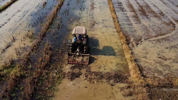 aereo Visualizza di contadino nel rosso trattore preparazione terra per riso piantare con uccelli volante intorno a. contadino Lavorando nel riso campo di trattore. grande agricolo industria paesaggio. video