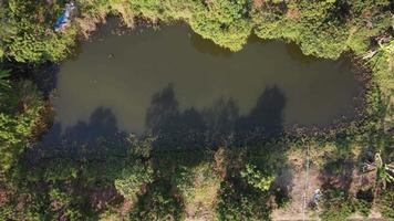 aereo Visualizza di stagni per agricoltura nel rurale le zone. stagno per aggregato agricoltura. concetto di sufficienza economia video