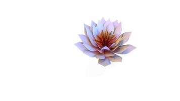 Waterlily Botanical Flower 3D Rendering photo