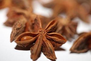 Brown fruit close up botanical background Illicium verum family schisandraceae star anise with seeds high quality big size print photo