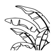 Black and white vector of plants , trees and foliage
