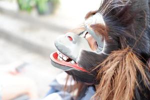 máscaras de mono en bali como fondo foto