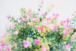 hermosas flores de verano en una taza como fondo foto