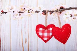 Valentine's Day love beautiful. Hearts hanging on branch of tree photo