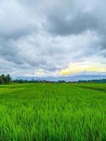 Peaceful village view. Huge farmland in the middle of a vast landscape. photo