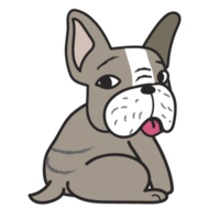 dibujos animados lindo bulldog francés aislado png