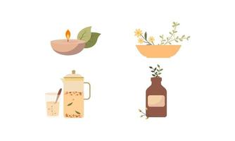 homeopatía, aromaterapia, conjunto de medicina tradicional natural. hierbas, té de hierbas, elementos esenciales naturopáticos homeopáticos, plantas curativas. vector