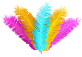 plumes colorées de carnaval 3d png