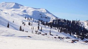 lato statico Visualizza snowboarder vestito nel buio nero abbigliamento sportivo equitazione giù il montagna pendenza nel Georgia, goderdzi su Caucaso soleggiato giorno video