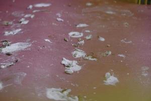 Top view. Dried bird poops on a floor. Dirty and can transmit diseases harmful to humans photo