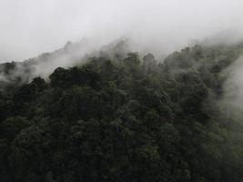 vista aérea del paisaje forestal neblinoso en indonesia al amanecer. foto