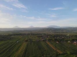 Aerial view of rice field with road in Yogyakarta, Indonesia photo