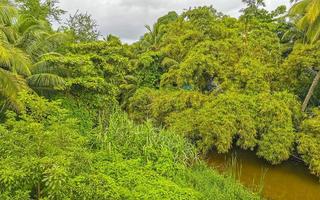 Green beautiful tropical river Freshwater Lagoon in Puerto Escondido Mexico. photo