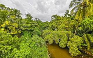 Green beautiful tropical river Freshwater Lagoon in Puerto Escondido Mexico. photo