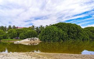 Green beautiful tropical river Freshwater Lagoon in Puerto Escondido Mexico. photo