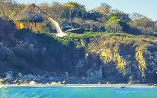 Extremely huge big surfer waves beach La Punta Zicatela Mexico. photo