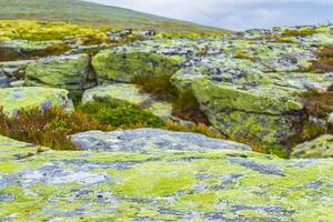 Gorge rocks cliff and waterfall river Rondane National Park Norway. photo