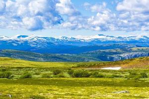 hermosa montaña y paisaje naturaleza panorama rondane parque nacional noruega. foto