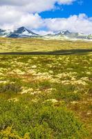 hermosa montaña y paisaje naturaleza panorama rondane parque nacional noruega. foto