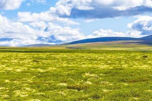 hermosa montaña y paisaje naturaleza panorama rondane parque nacional noruega. foto