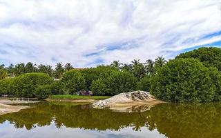 laguna de agua dulce de río tropical hermosa verde en puerto escondido méxico. foto