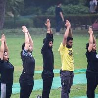 New Delhi, India, June 18 2022 - Group Yoga exercise class Surya Namaskar for people of different age in Lodhi Garden, International Yoga Day, Big group of adults attending a yoga class in park photo