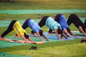 New Delhi, India, June 18 2022 - Group Yoga exercise class Surya Namaskar for people of different age in Lodhi Garden, International Yoga Day, Big group of adults attending a yoga class in park photo