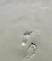 Summer vibe, Waves and footprints at sunset on beach in sandy, background with copy space. photo