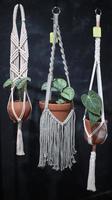 macrame with a plant on the aesthetic wall photo