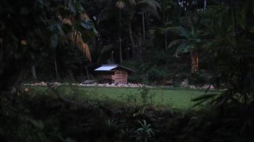 choza en el bosque, indonesia foto