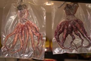 dried octopus at valencia market photo