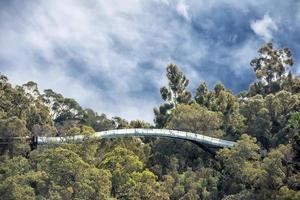 Perth botanic gardens suspended bridge photo