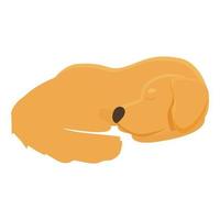 golden retriever durmiendo icono vector de dibujos animados. cachorro
