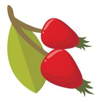 Berry rosehip icon cartoon vector. Forest food vector