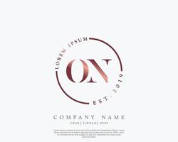 Initial letter ON Feminine logo beauty monogram and elegant logo design, handwriting logo of initial signature, wedding, fashion, floral and botanical with creative template vector